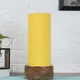 Yellow__New Era Enterprises