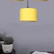 Yellow__New Era Enterprises