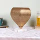 Gold__New Era Enterprises