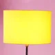 Yellow__New Era Enterprises
