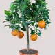 Green__MY DREAM NURSERY