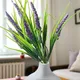 Lavender, White__House of Dhaarna