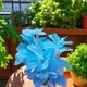 Blue__House of Dhaarna