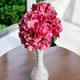 Pink__House of Dhaarna