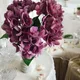 Purple__House of Dhaarna
