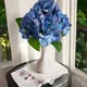Blue__House of Dhaarna