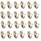 Pack Of 24__Decuds 