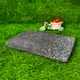 Grey__Boria Bistar