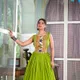 PARROT GREEN__Rangritiya™