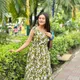 Green__Dossiers
