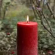 Red__Stone & Feather