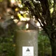 Sage Green__Stone & Feather