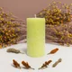 Lime Green__Stone & Feather