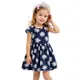 BLUE FLOWER__AAKAR FASHION