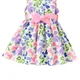 COLORFULL BOW__AAKAR FASHION