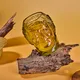 Pack of 1__Limekart