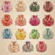 Multicolor__Lovely Gift 4 All