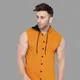 Mustard__Tfurnish