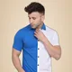 White::Blue__Tfurnish