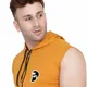 Yellow__Tfurnish