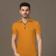 Mustard__Tfurnish