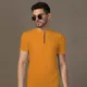 Mustard__Tfurnish