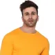 Yellow__Tfurnish