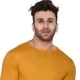 Yellow__Tfurnish