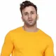 Yellow__Tfurnish