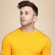 Yellow__Tfurnish