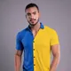 Blue & Yellow__Tfurnish