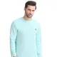 Turquoise__GRIFFON VINCERO