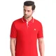 Red__GRIFFON VINCERO