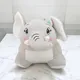 Grey__Teddyera