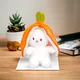 Orange__Teddyera