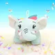 Mint__Teddyera