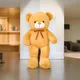 Brown__Teddyera