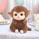 Brown__Teddyera