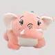 Pink__Teddyera