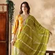 Mustard__Bulbul Fashion