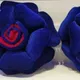 Blue__Thred & Thred