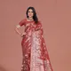 Rust Red__Saatdhaaga