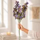 Purple__EDGE SQUARE