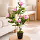 MagnoliaPink__EDGE SQUARE