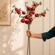 Pomegranate__EDGE SQUARE