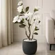 MagnoliaWhite__EDGE SQUARE