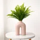 Fern__EDGE SQUARE