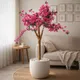Bougainvillea__EDGE SQUARE
