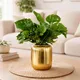 Monstera__EDGE SQUARE