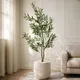 Olive__EDGE SQUARE